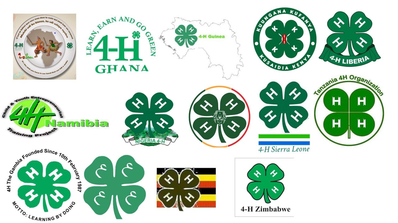 4-H Africa